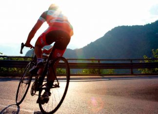 Una historia sobre ruedas