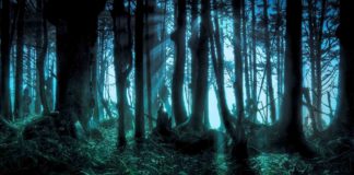 Una noche para jugar