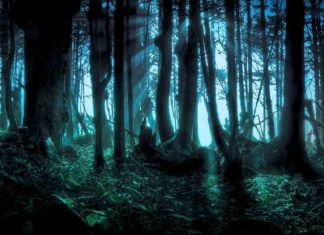 Una noche para jugar