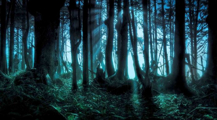 Una noche para jugar