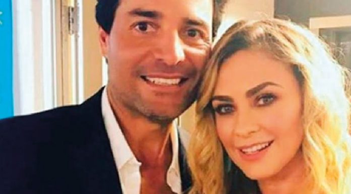 Aracely Arámbula y Chayanne, cantaron por Puerto Rico