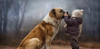 Una mascota feliz, te hace feliz