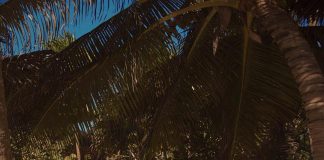 Paulina Vega paraliza Instagram