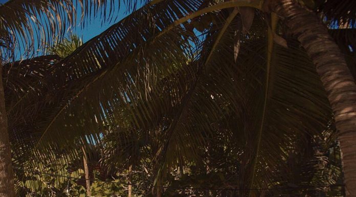 Paulina Vega paraliza Instagram