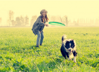 El mejor amigo del hombre El mejor amigo del hombre