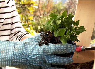 Una tendencia sostenible para el hogar