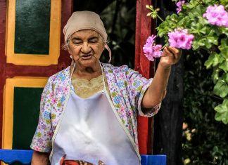 La Feria de Flores: El regreso a nuestras raíces