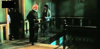 La estrategia del caracol