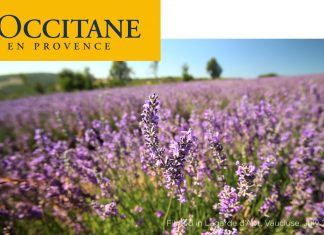 La renovación nocturna con L’Occitane