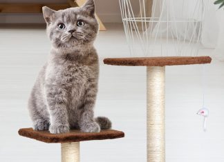 Consiente al bebé peludo