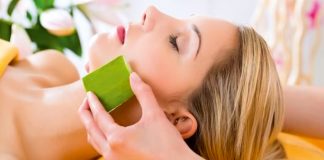 El milagro de la sábila