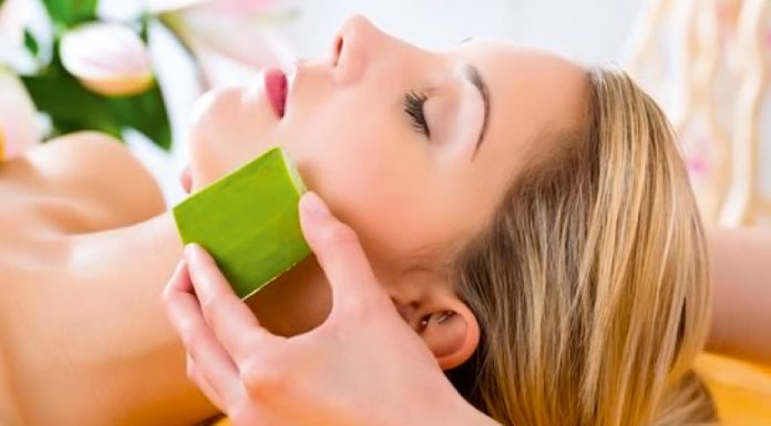 El milagro de la sábila