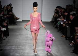 Exótica pasarela de perros en New York