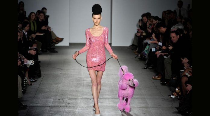 Exótica pasarela de perros en New York