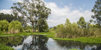 Alcaldía de Bogotá y su lucha por salvar los humedales