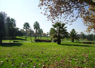 Bogotá sonríe, un nuevo parque se avecina