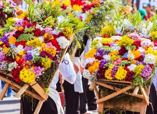 Canal Uno presente en la Feria de las Flores