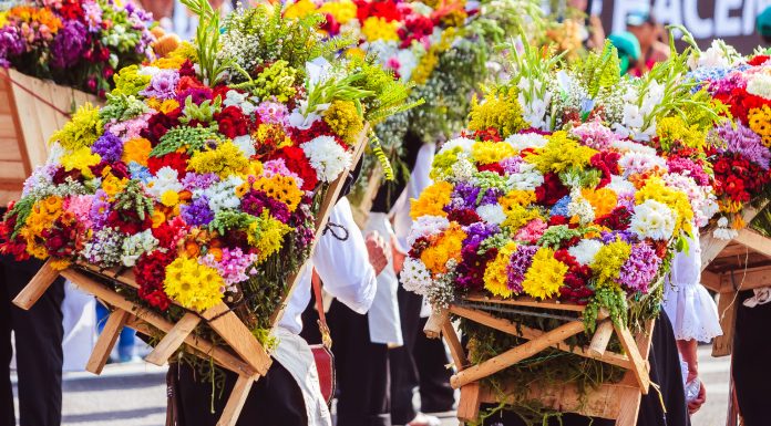 Canal Uno presente en la Feria de las Flores