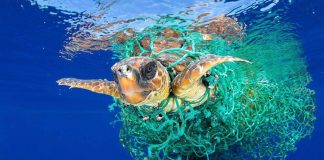 Colombia en camino para decir no al plástico