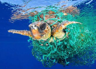 Colombia en camino para decir no al plástico