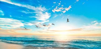 100 frases de tranquilidad, calma y serenidad