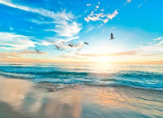 100 frases de tranquilidad, calma y serenidad