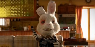 Basta del testeo animal, cuidemos a los animales