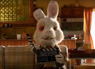 Basta del testeo animal, cuidemos a los animales