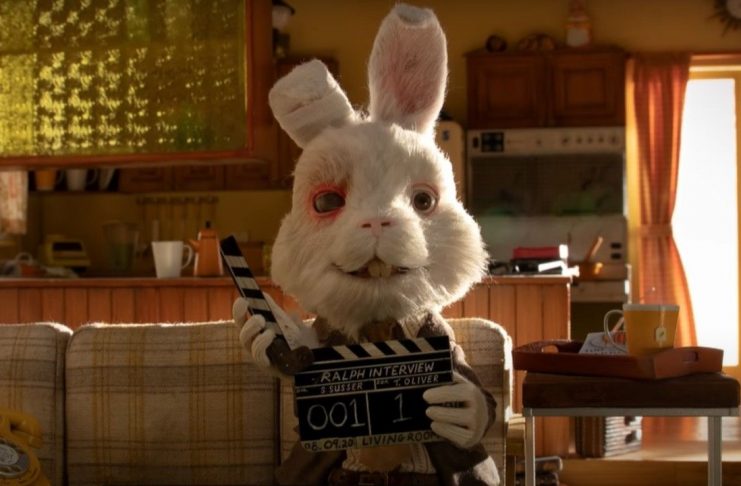 Basta del testeo animal, cuidemos a los animales