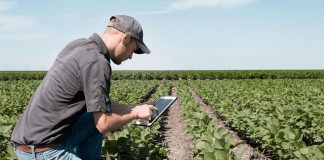 Hoy 24 de Noviembre se celebra el día del agrónomo Agrónomo