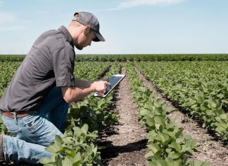 Hoy 24 de Noviembre se celebra el día del agrónomo Agrónomo