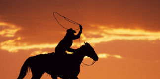 Viajando al embrujo llanero con MásQver Viajando al embrujo llanero con MásQver