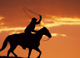 Viajando al embrujo llanero con MásQver Viajando al embrujo llanero con MásQver