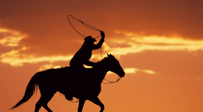 Viajando al embrujo llanero con MásQver Viajando al embrujo llanero con MásQver