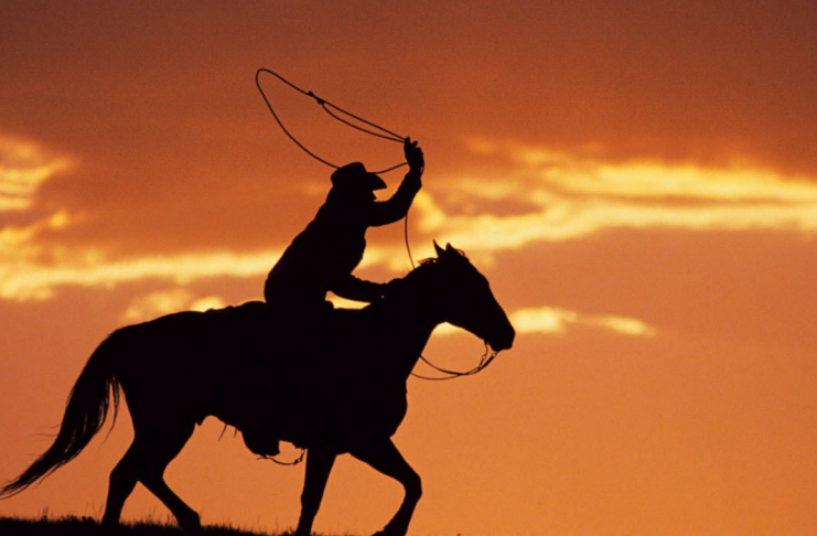 Viajando al embrujo llanero con MásQver Viajando al embrujo llanero con MásQver