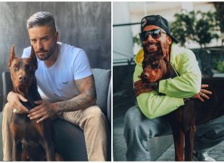 Así quedó Maluma luego de ser mordido por su perro Así quedó el rostro de Maluma luego de ser mordido por su perro