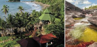 Deje de invitar a su mamá al mismo centro comercial, estos viajes le salvarán la vida