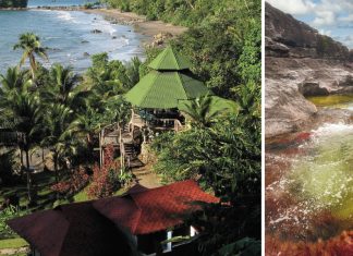 Deje de invitar a su mamá al mismo centro comercial, estos viajes le salvarán la vida