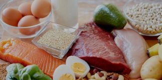 Hablemos de nutrición y como llevar una vida saludable sin tantas dietas Nutrición