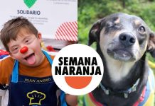 Inicio la Semana Naranja, una inciativa para ayudar a niños y animalitos