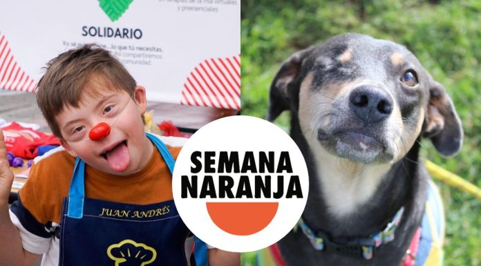 Inicio la Semana Naranja, una inciativa para ayudar a niños y animalitos